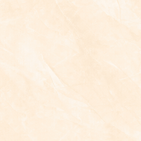 ARMANI-21.E.880.0849